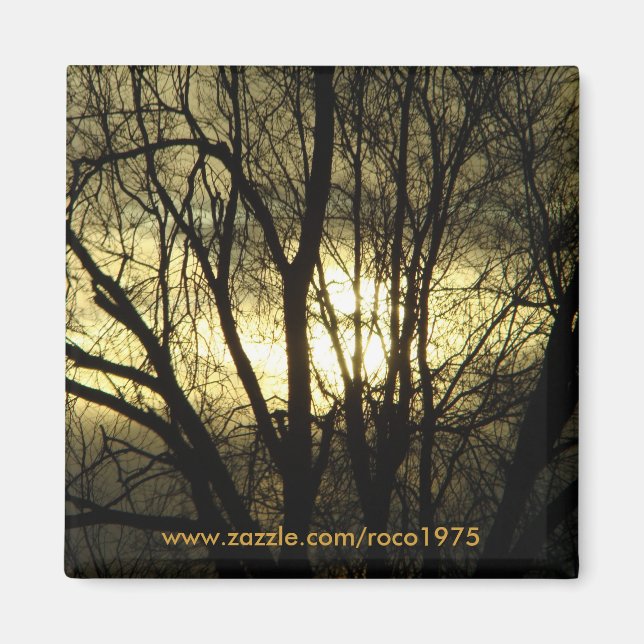 Aimant Barrière (Devant)