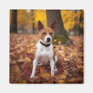 Aimant Basenji en automne Feuilles automne Inspiration