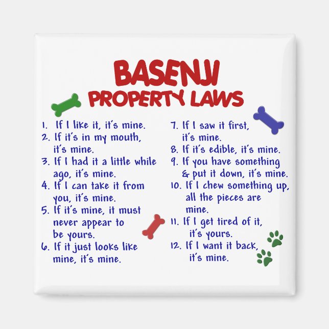 Aimant BASENJI, lois sur la propriété 2 (Devant)