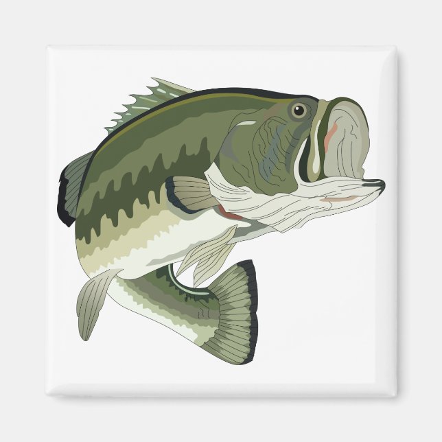 AIMANT BASES LARGEMOUTH (Devant)