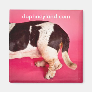 Aimant Basset Butt