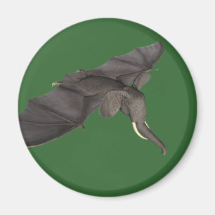 Aimant Bat Elephant Hybride