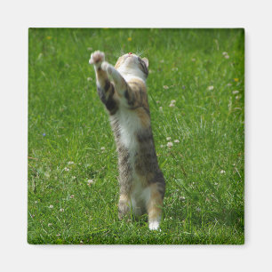 Aimant Battez-vous remet et emboutit vos pieds