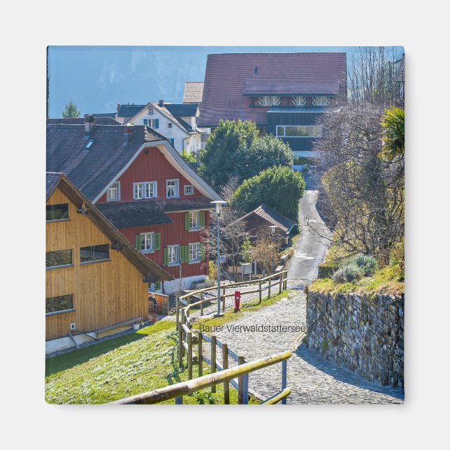 Aimant Bauer Vierwald, Suisse (Devant)