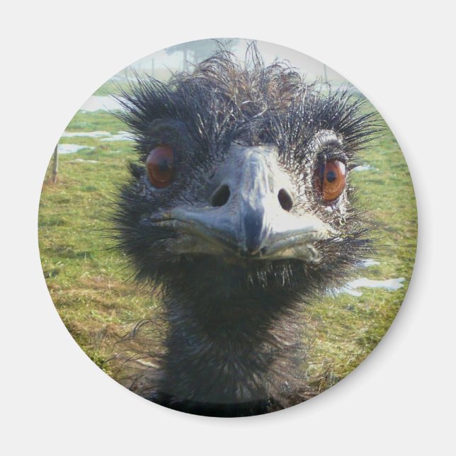 Aimant Beady Eyes EMU (Devant)