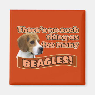 AIMANT BEAGLE