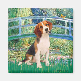 Aimant Beagle1 - Pont