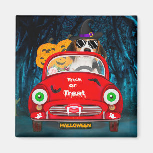 Aimant Beagle Chien Conduite voiture effrayant