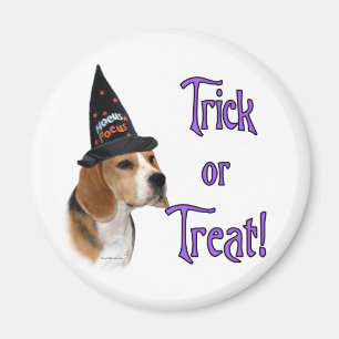 Aimant Beagle Trick