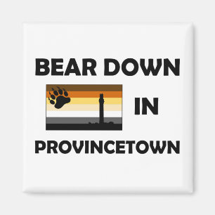 Aimant Bear Down In Provincetown