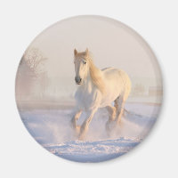 Beau Cheval Blanc Galloping dans la neige