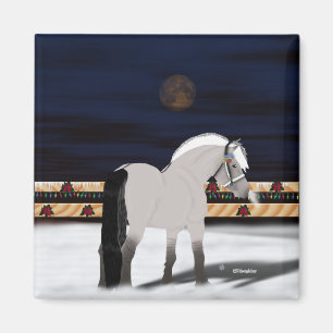 Aimant Beau cheval norvégien fjord