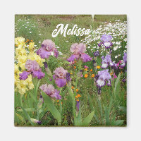 Beau Jardin fleuri pourpre Iris Irises