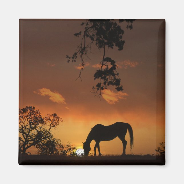 Aimant Beau lever de soleil de jour avec cheval (Devant)