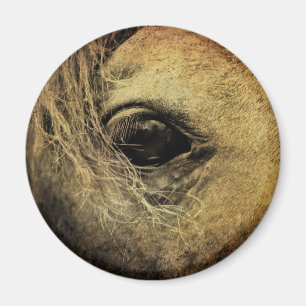 Aimant Beau oeil de Cheval Noir