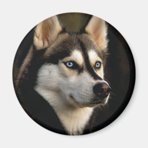 Aimant Beau Oreiller Husky Lrow