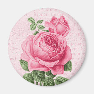 Aimant Beau rose vintage de rose