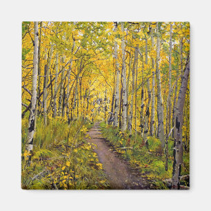 Aimant Beau sentier Pittoresque d'automne à Aspen Tree Gr