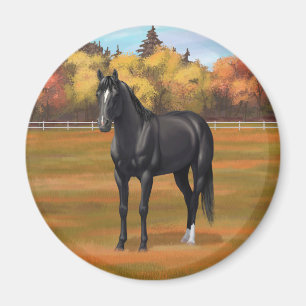 Aimant Beau Stallion Cheval du Quartier Noir