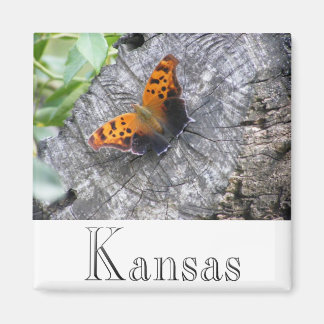 Aimant Beauté battue