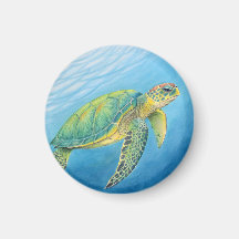 Beauté de la tortue