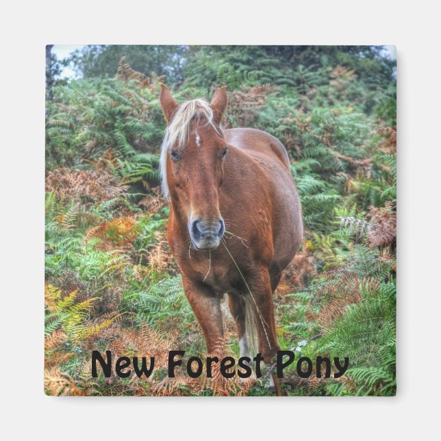 Aimant Beautiful Equines Cheval-lover's Gift (Devant)