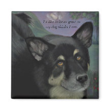 Beaux yeux de chien noir