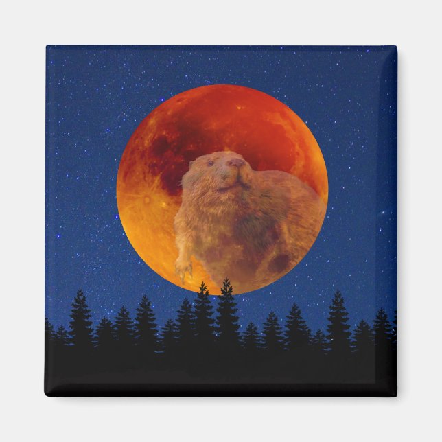Aimant Beaver Moon en novembre (Devant)
