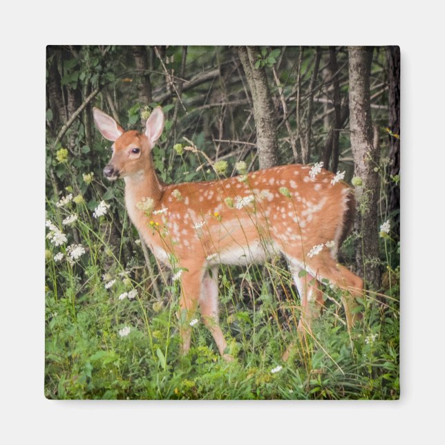 Aimant Bébé du père Cerf Animaux de bois (Devant)