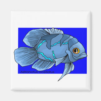 Aimant Bel Oscar bleu tropical