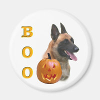 Belge Malinois Boo