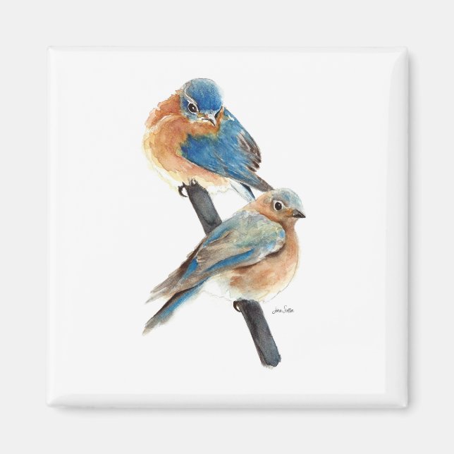 Aimant Belle Aquarelle Bluebird Couple Art (Devant)