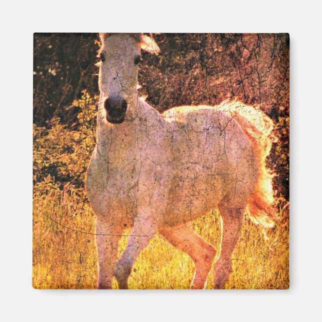 Aimant Belle équine (Devant)