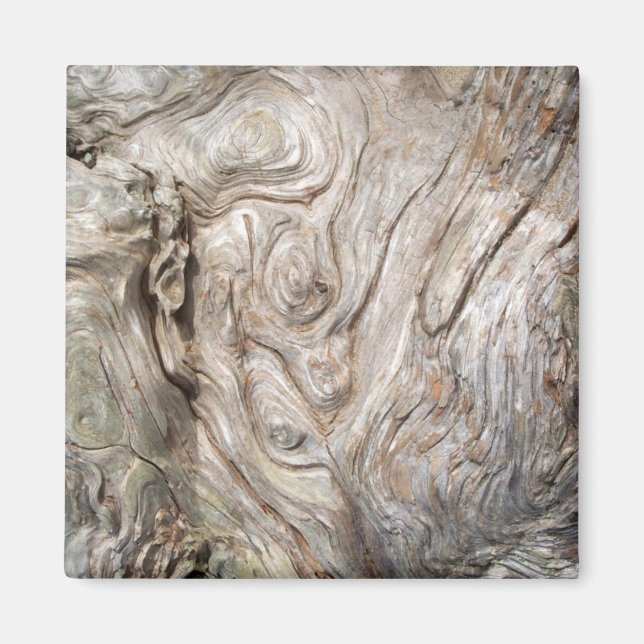 Aimant Belle oeuvre de Driftwood Nature (Devant)