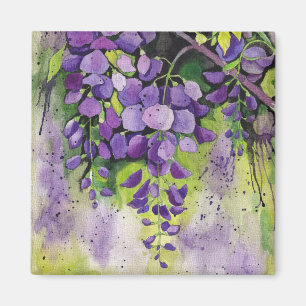 Aimant Belles Fleurs De Wisteria En Aquarelle