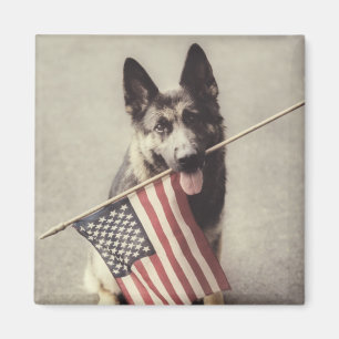 Aimant Berger Allemand Avec Drapeau US