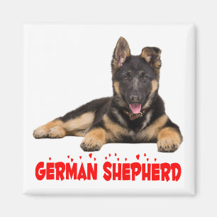Aimant Berger Allemand Chien Chien Chien Chien Rouge Coeu