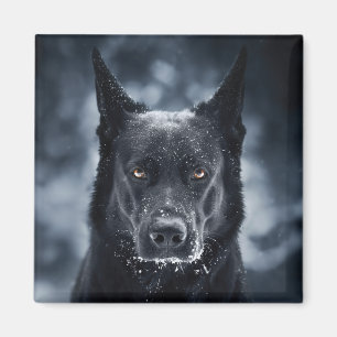 Aimant Berger Allemand Noir