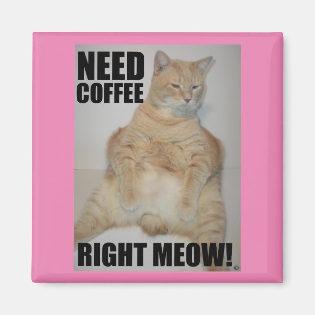 Aimant BESOIN DE CAFÉ DROITE ! Manx Chat assis drôle (Devant)