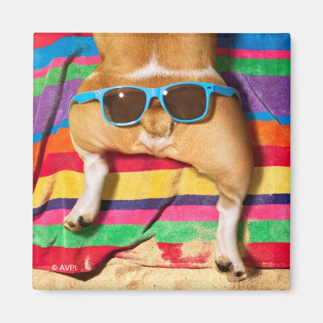 Aimant Beurre de chien avec lunettes de soleil (Devant)