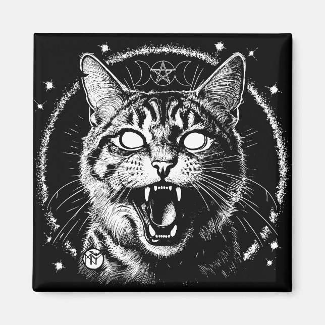 Aimant Bewitched (Devant)