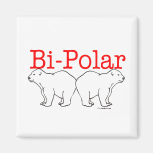Aimant Bi-Polar
