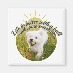 Aimant Bichon & Ball Jours de pissenlits 