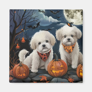 Aimant Bichon Frise Halloween Éffrayant