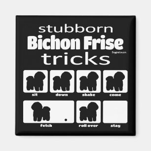 Aimant Bichon Frise Tricks