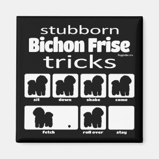 Aimant Bichon Frise Tricks