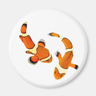 Aimant Bicker Poisson clown