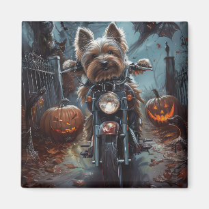 Aimant Biewer Terrier équitation Moto Halloween Effrayer
