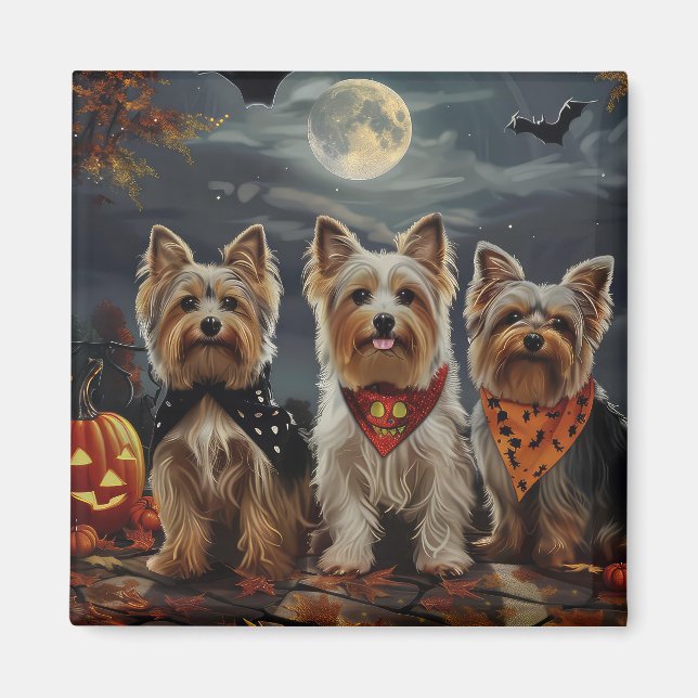Aimant Biewer Terrier Halloween Éffrayant (Devant)