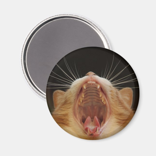 Aimant Big Kitty Yawn, Sleepy Kitty (Recto/Verso)